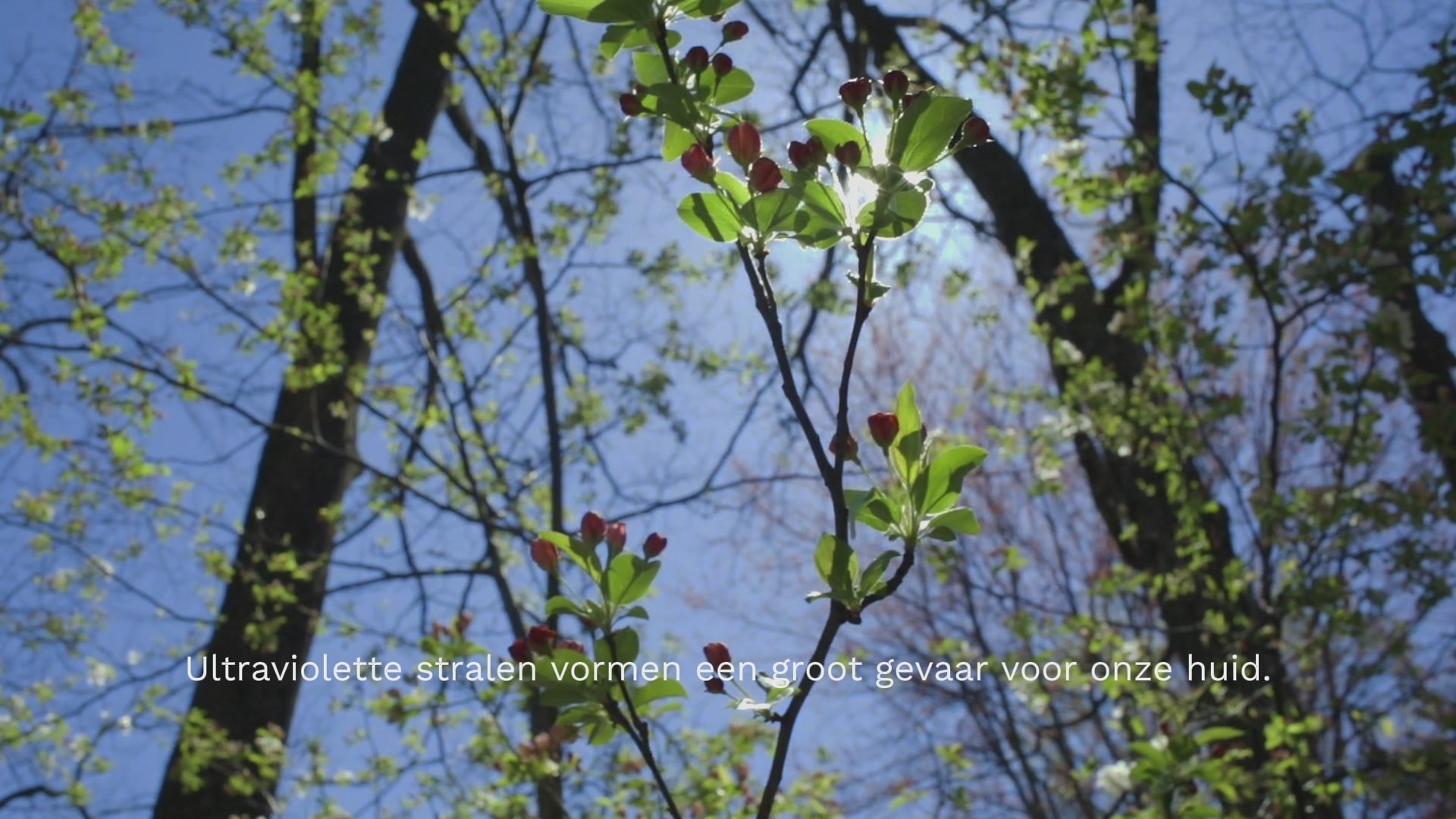 Laadt de video: Video over Ker Sun – het eerste Franse merk voor UV-kleding